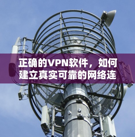 正确的VPN软件,如何建立真实可靠的网络连接